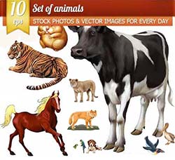 10个矢量的动物素材(EPS格式)：Set of animals, 10 x EPS